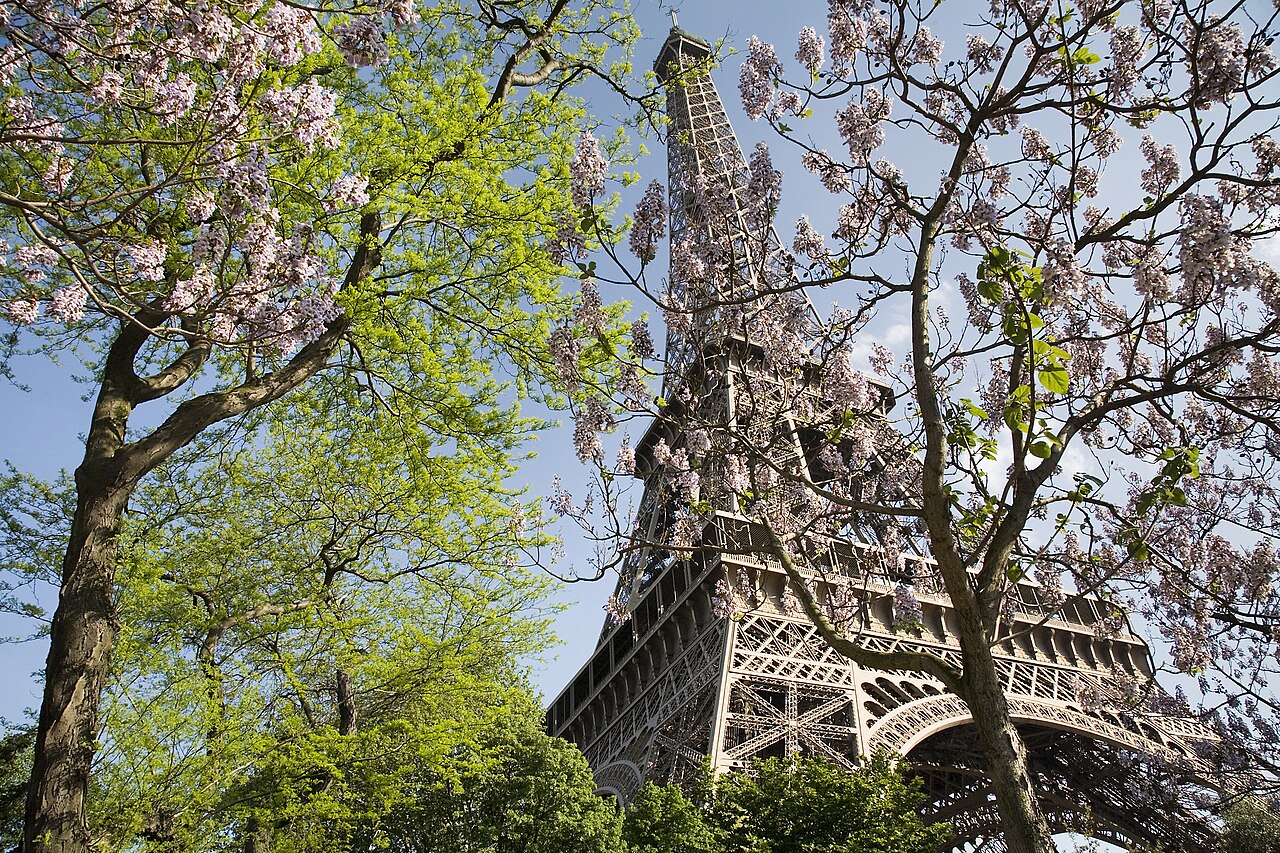 Study in France